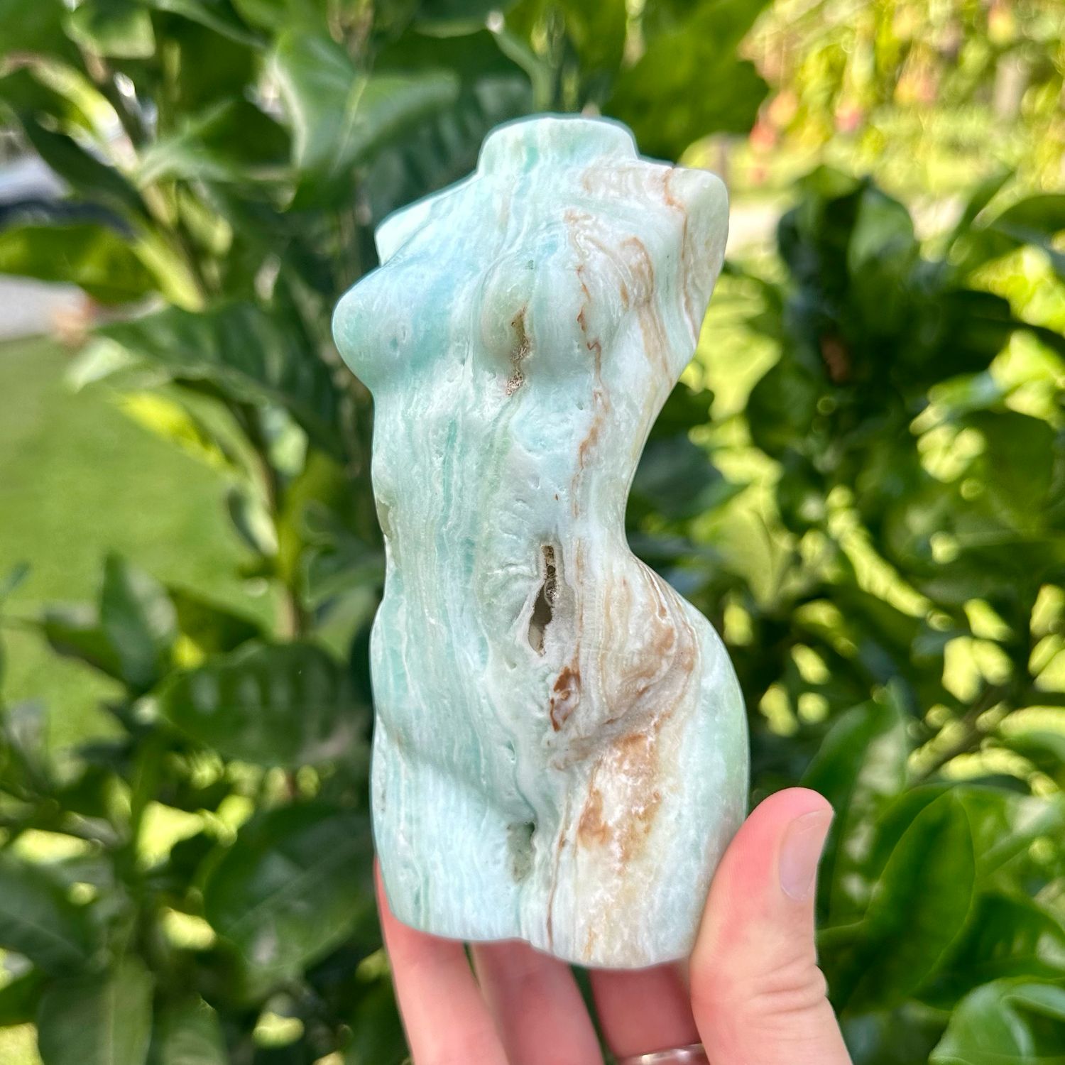 Caribbean Calcite Body