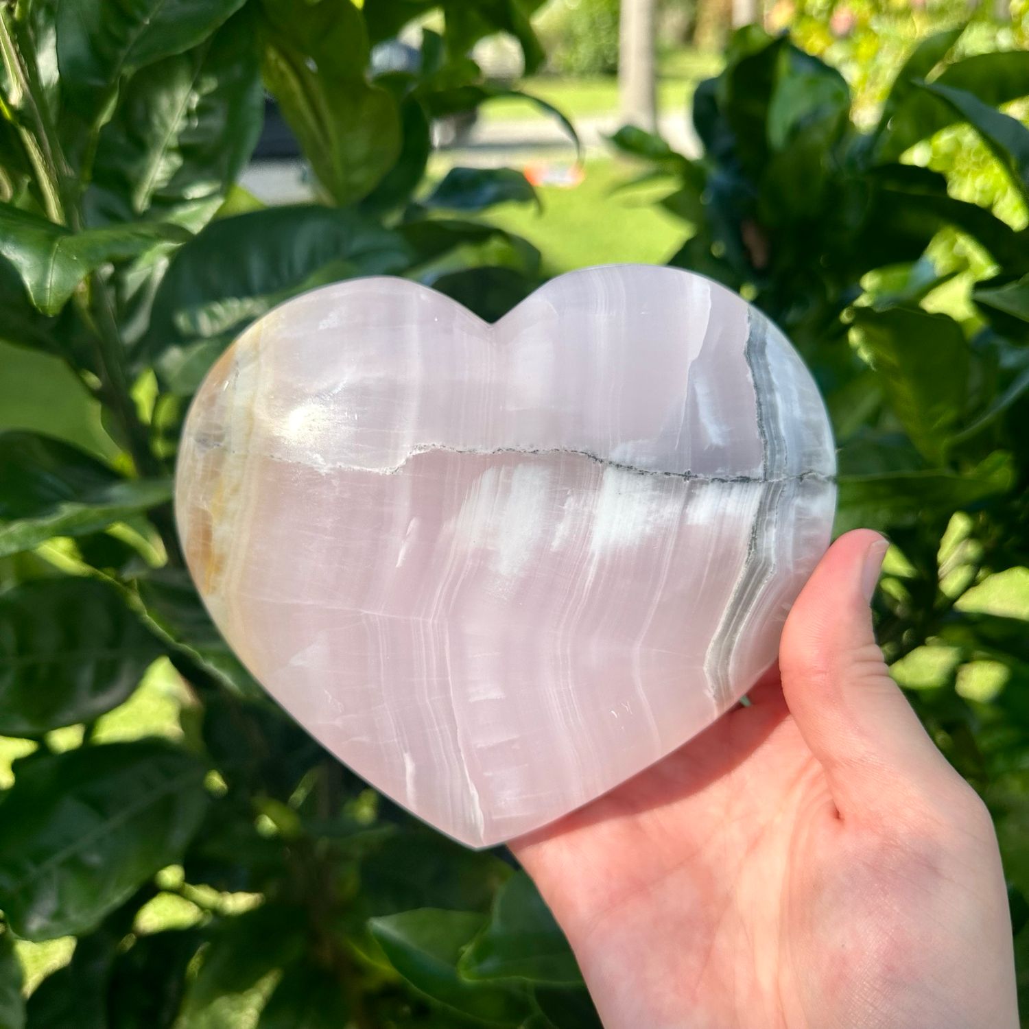 Pink Mangano Heart