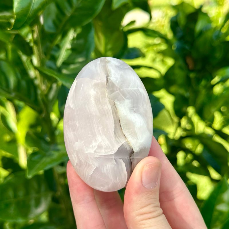 Pink Mangano Palmstone