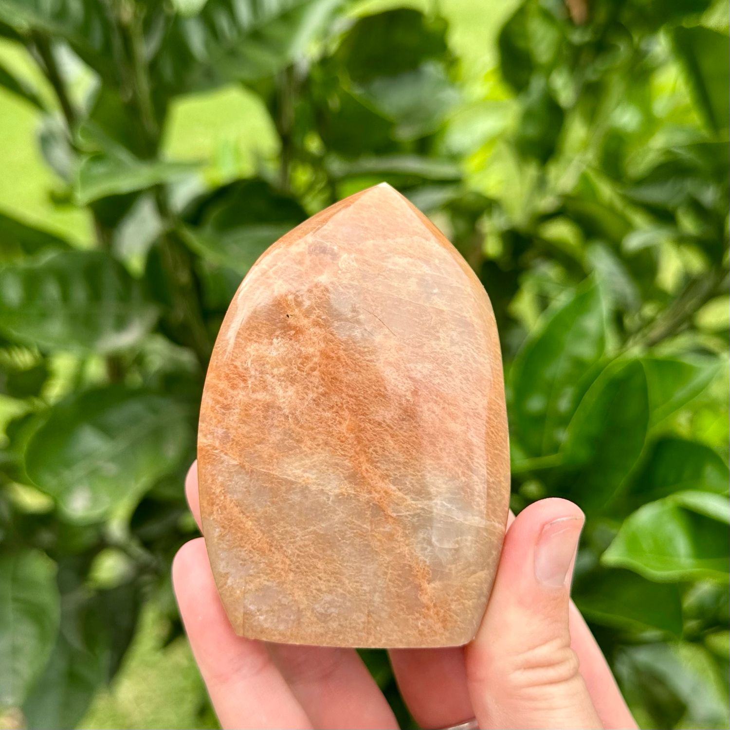 Peach Moonstone Flame