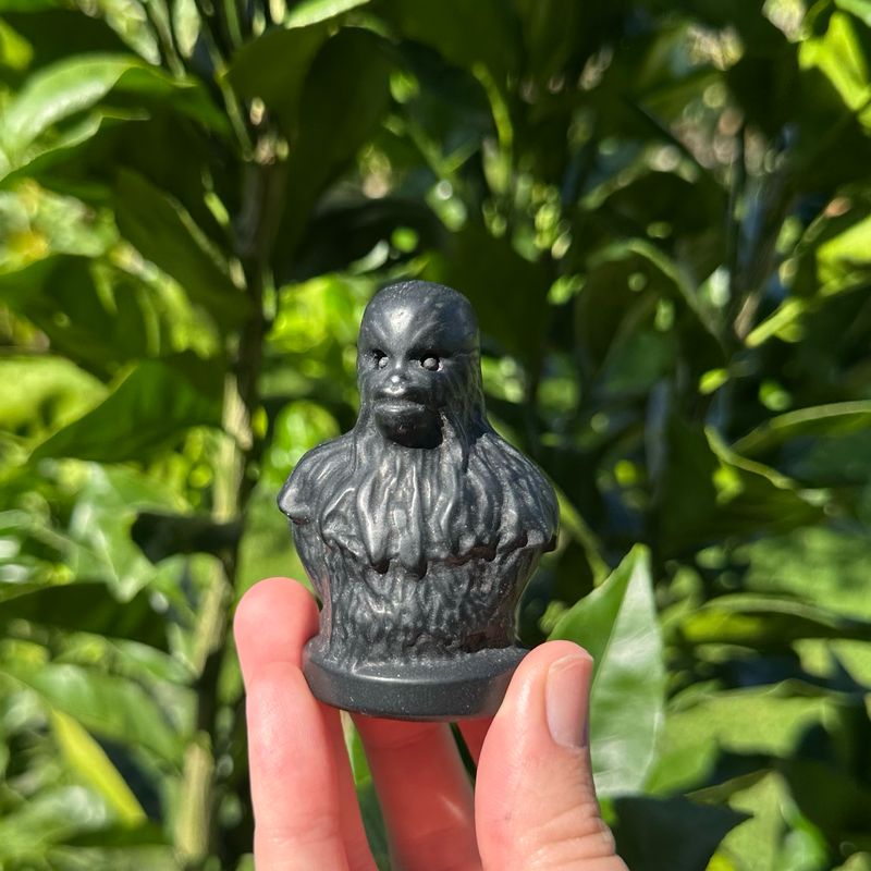 Black Obsidian Chewbacca