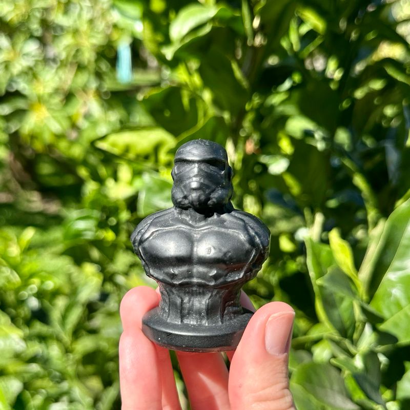 Black Obsidian Storm Trooper