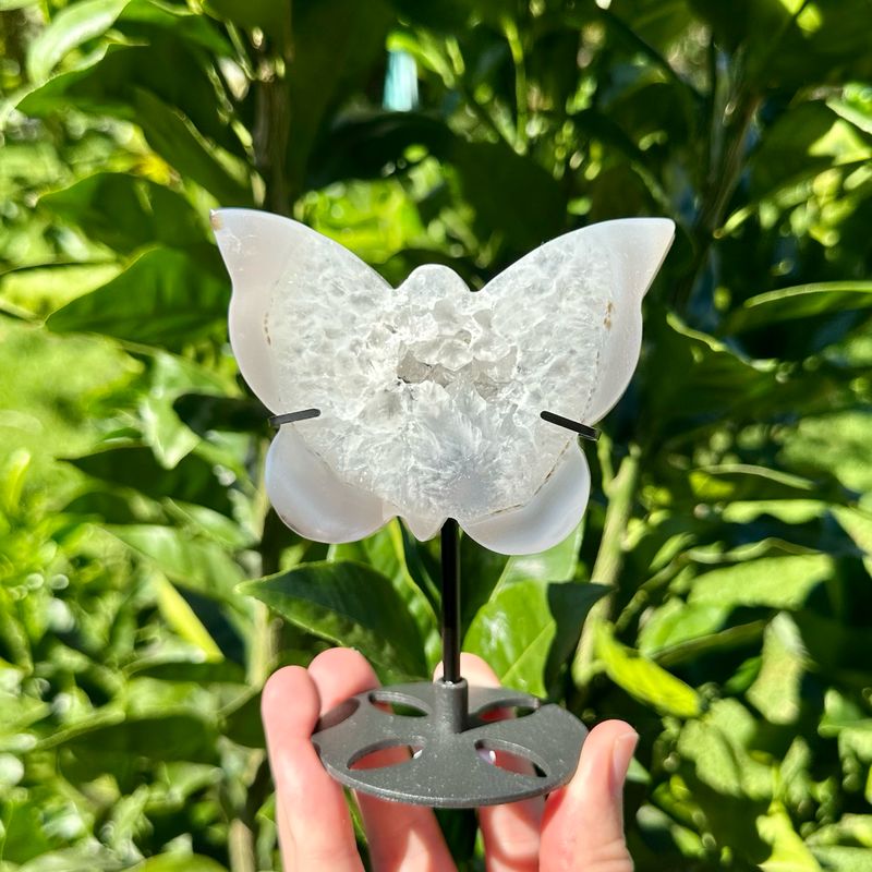 Druzy Agate Butterfly On Stand