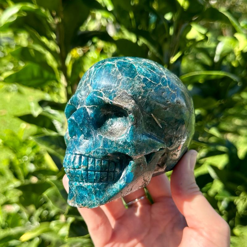 Blue Apatite Skull