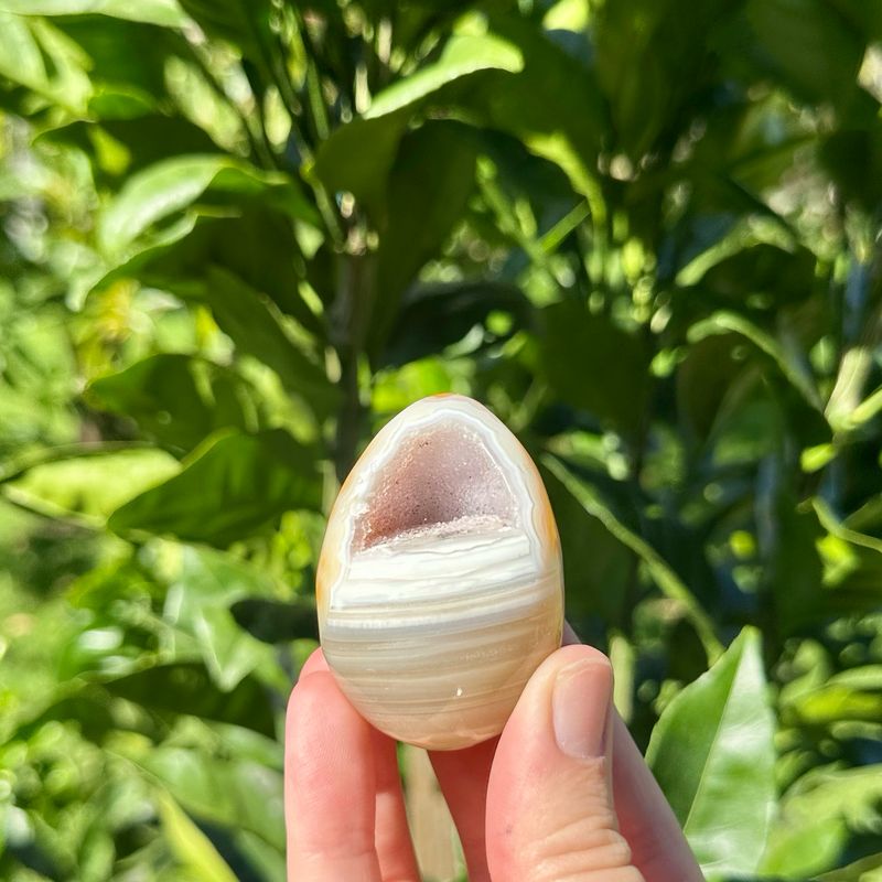 Carnelian Egg