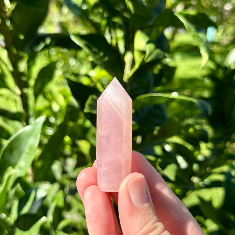 Rose Quartz Mini Point