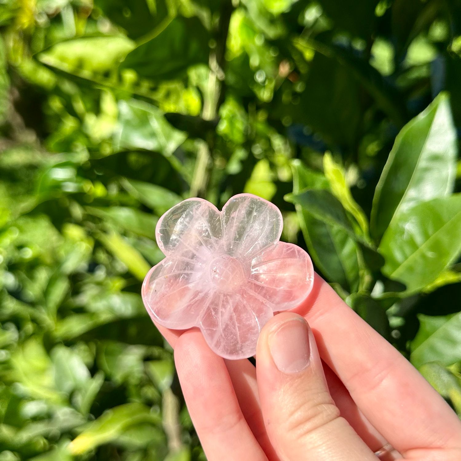 Rose Quartz Flower