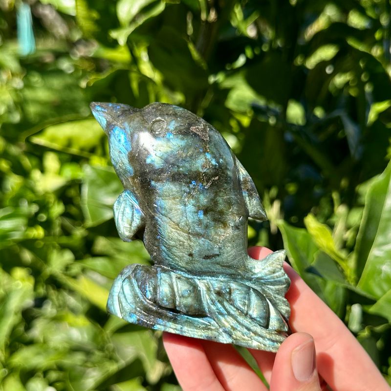 Labradorite Dolphin