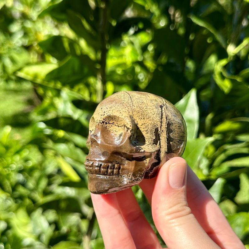 Picture Jasper Skull