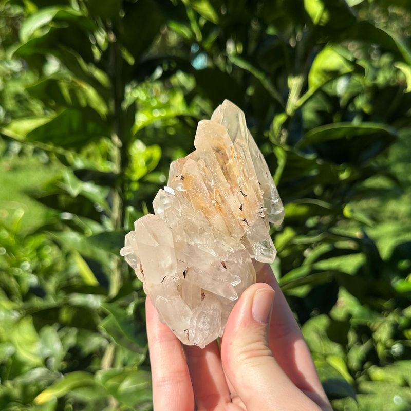 Clear Quartz Cluster