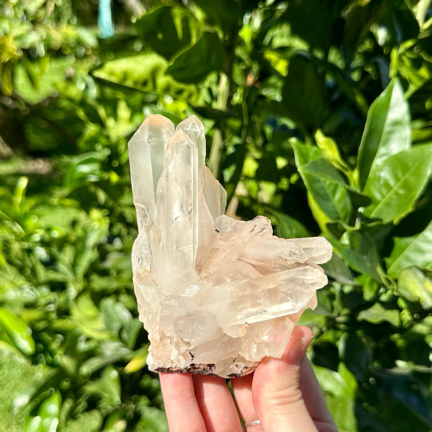 Clear Quartz Cluster
