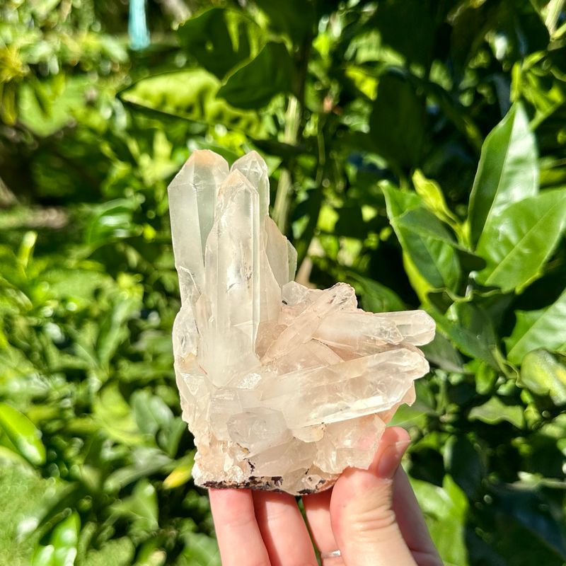 Clear Quartz Cluster