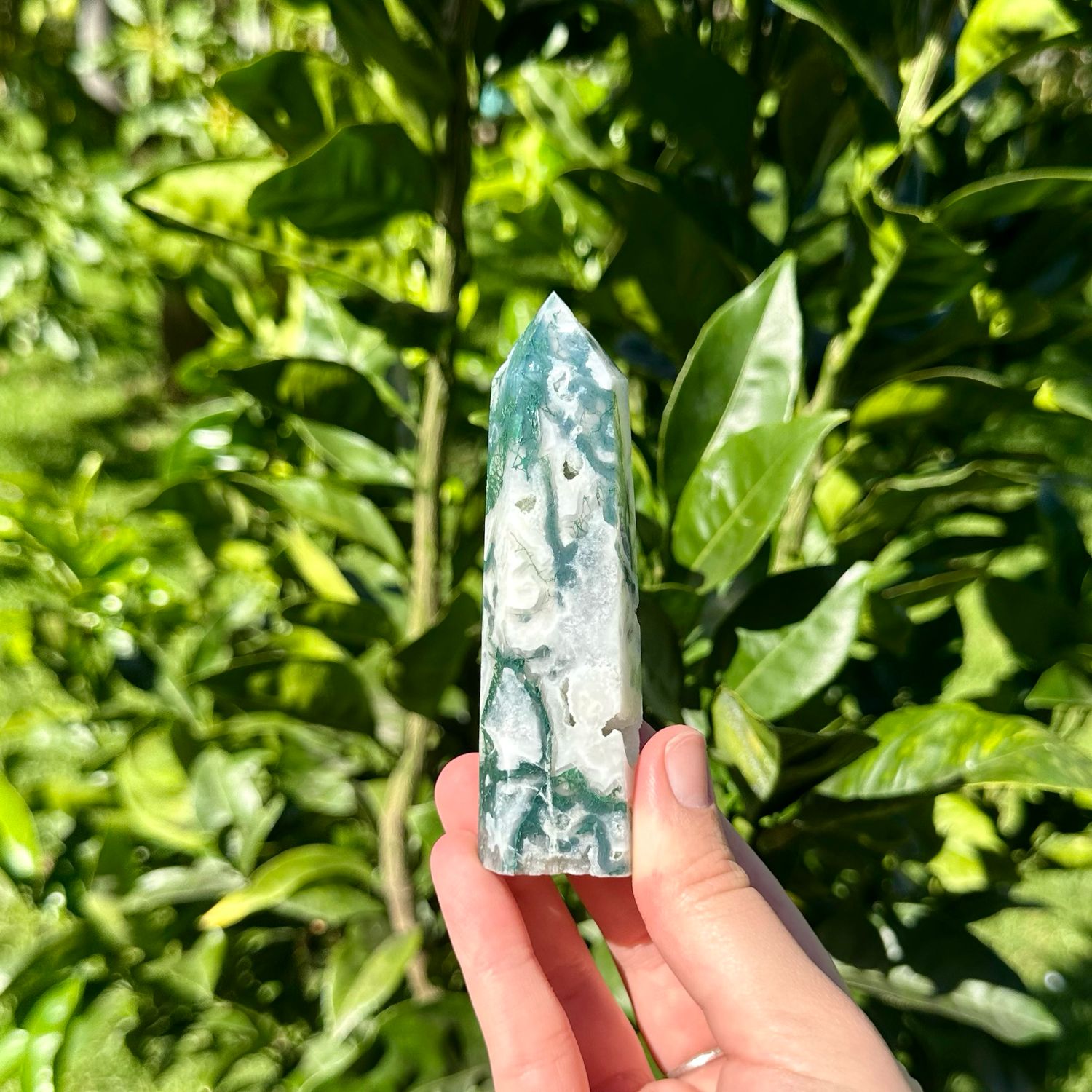 Moss Agate Point