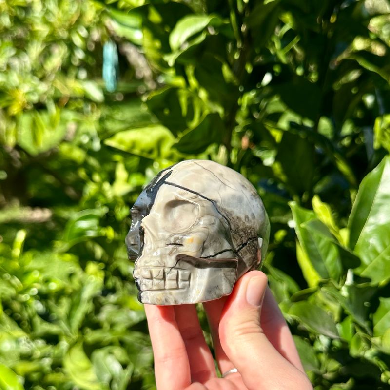 Volcano Agate Skull