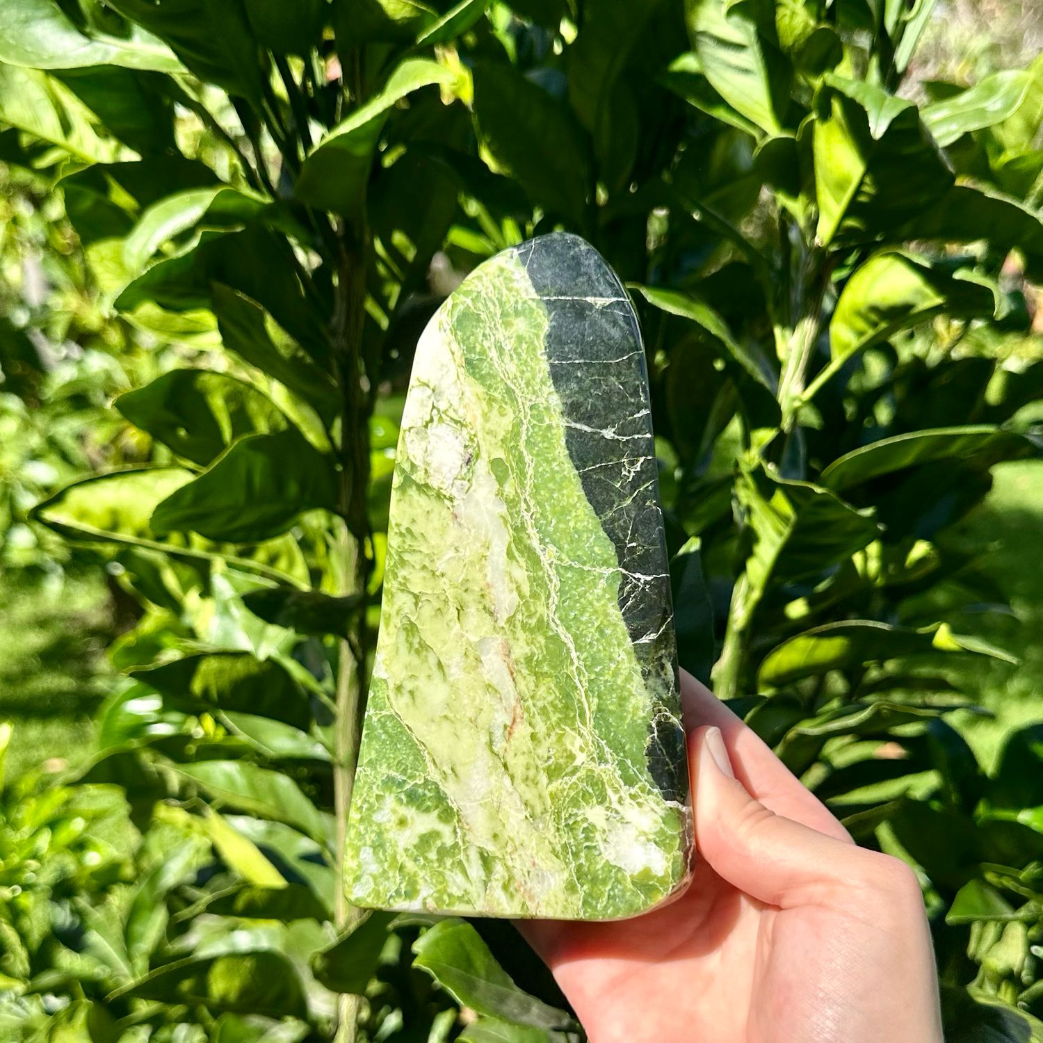 Tremolite Freeform