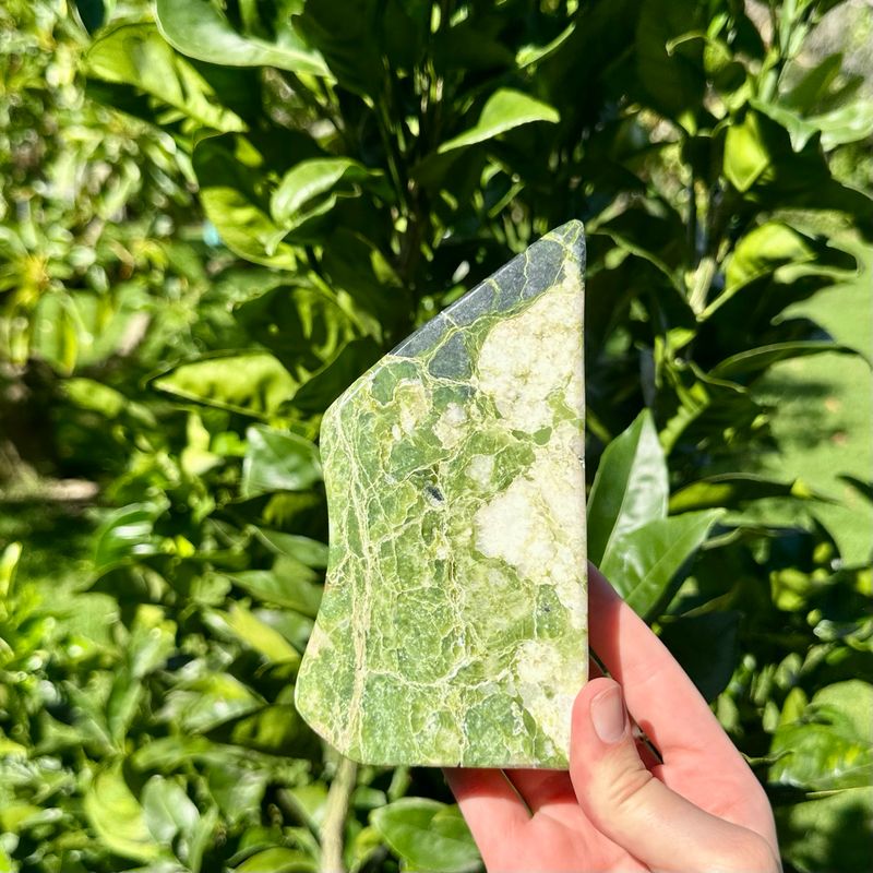 Tremolite Freeform