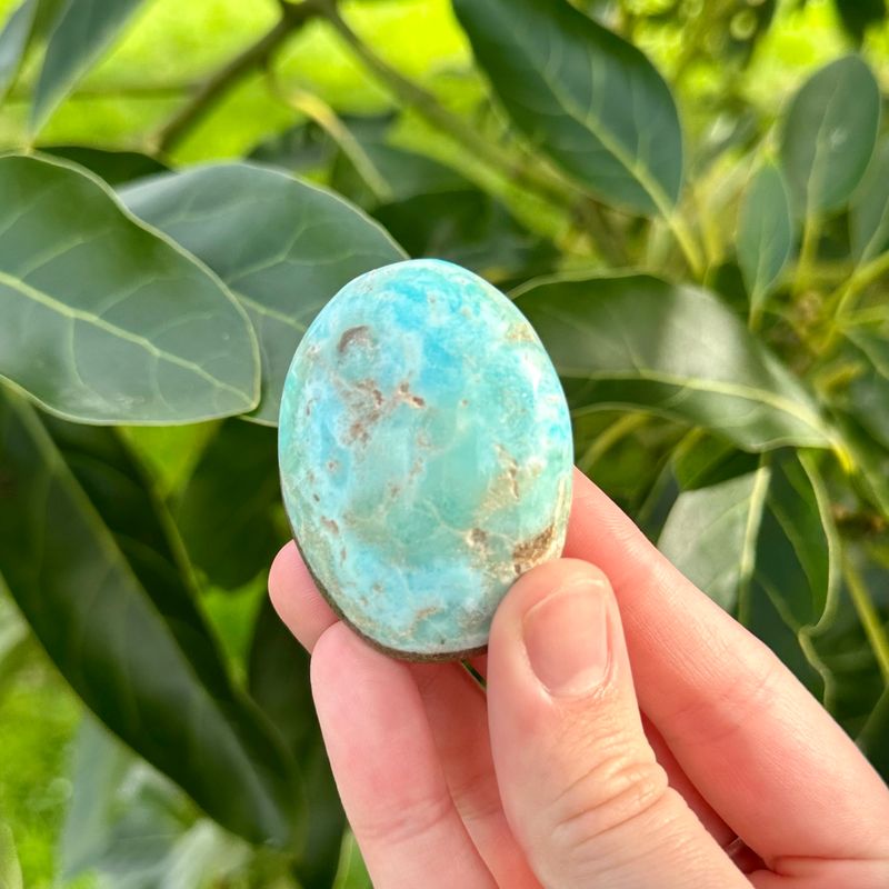 Blue Aragonite Palm Stone