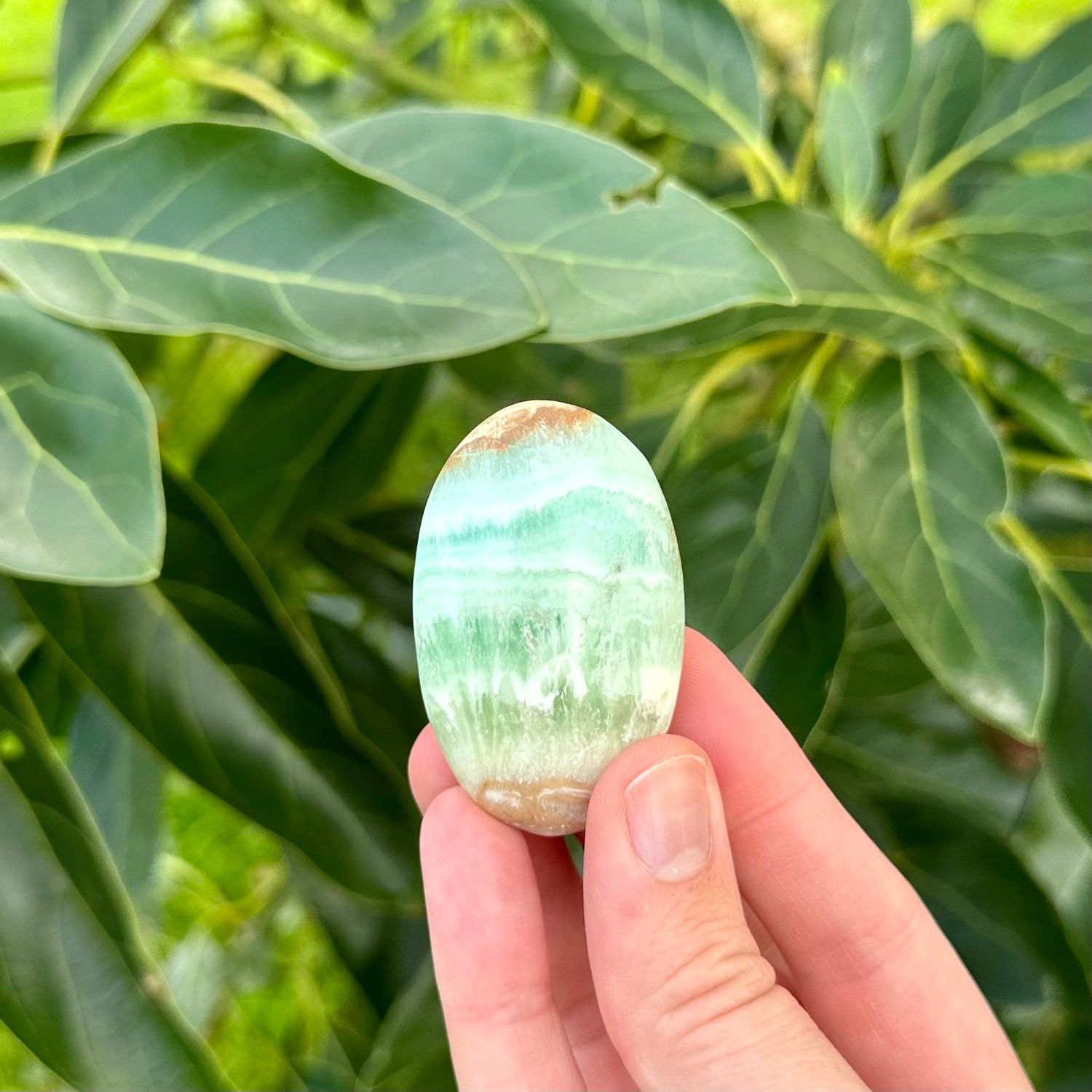 Caribbean Calcite Palm Stone