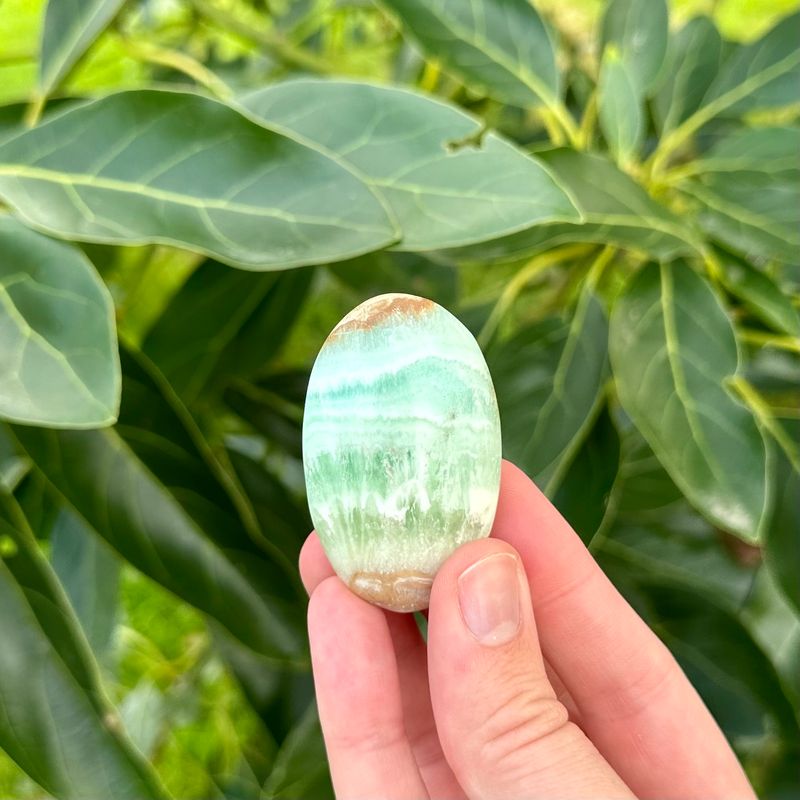 Caribbean Calcite Palm Stone