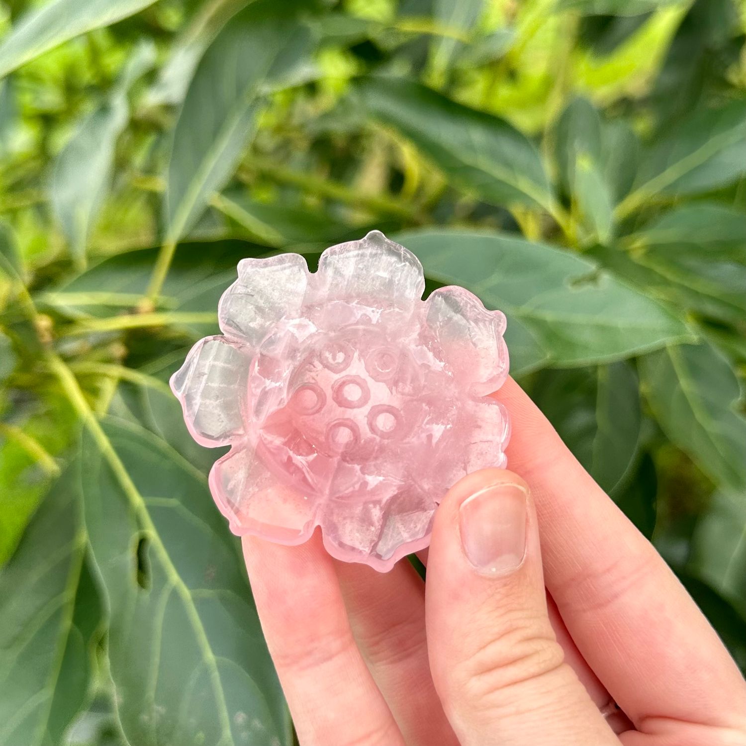 Rose Quartz Lotus
