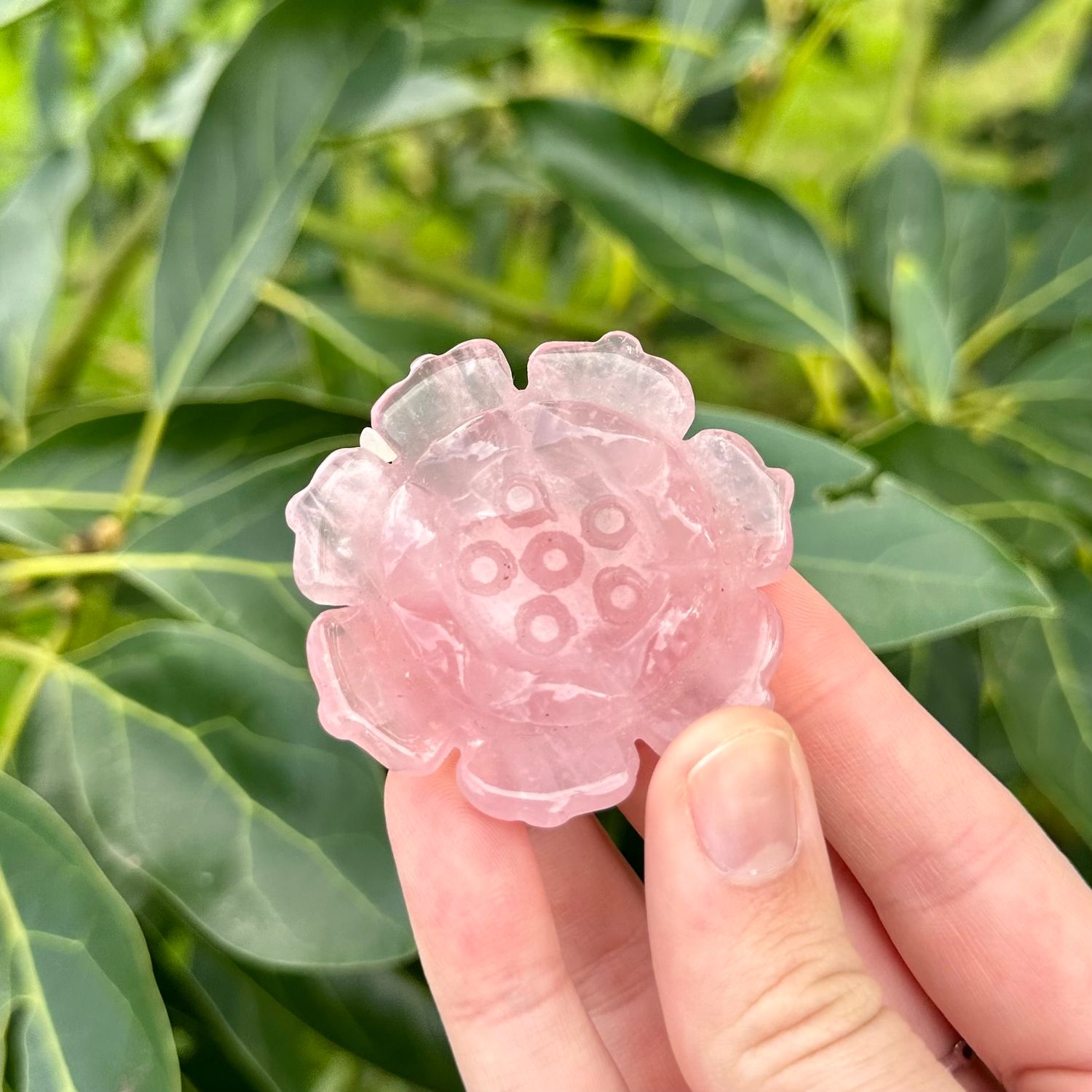 Rose Quartz Lotus
