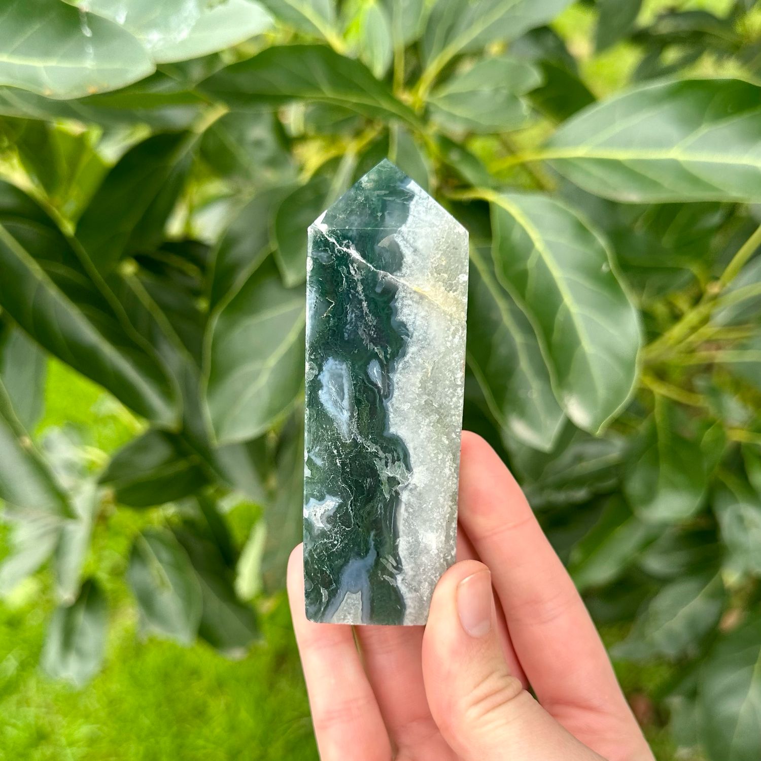 Moss Agate Point