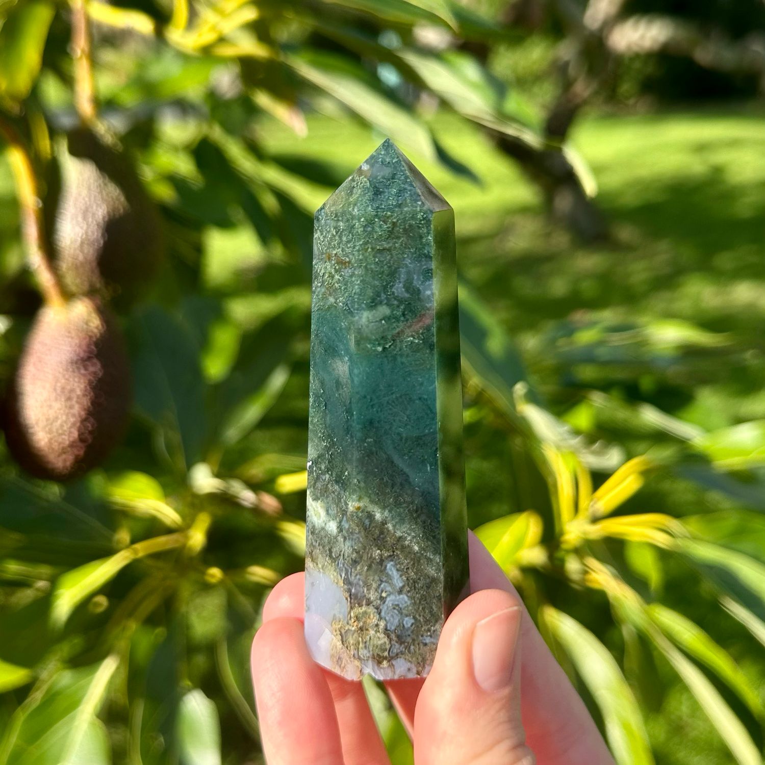 Moss Agate Point