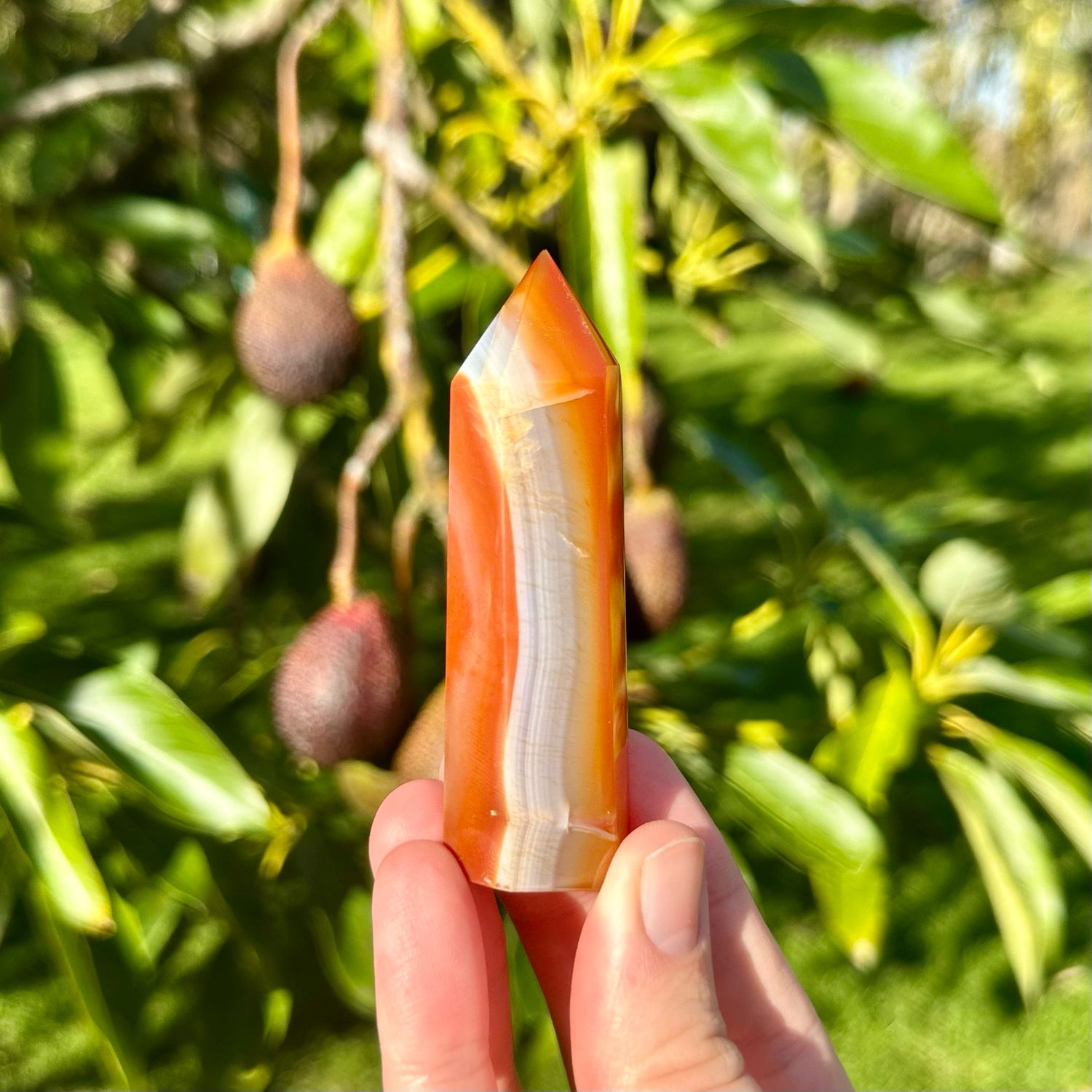 Carnelian Point