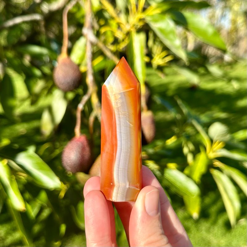 Carnelian Point