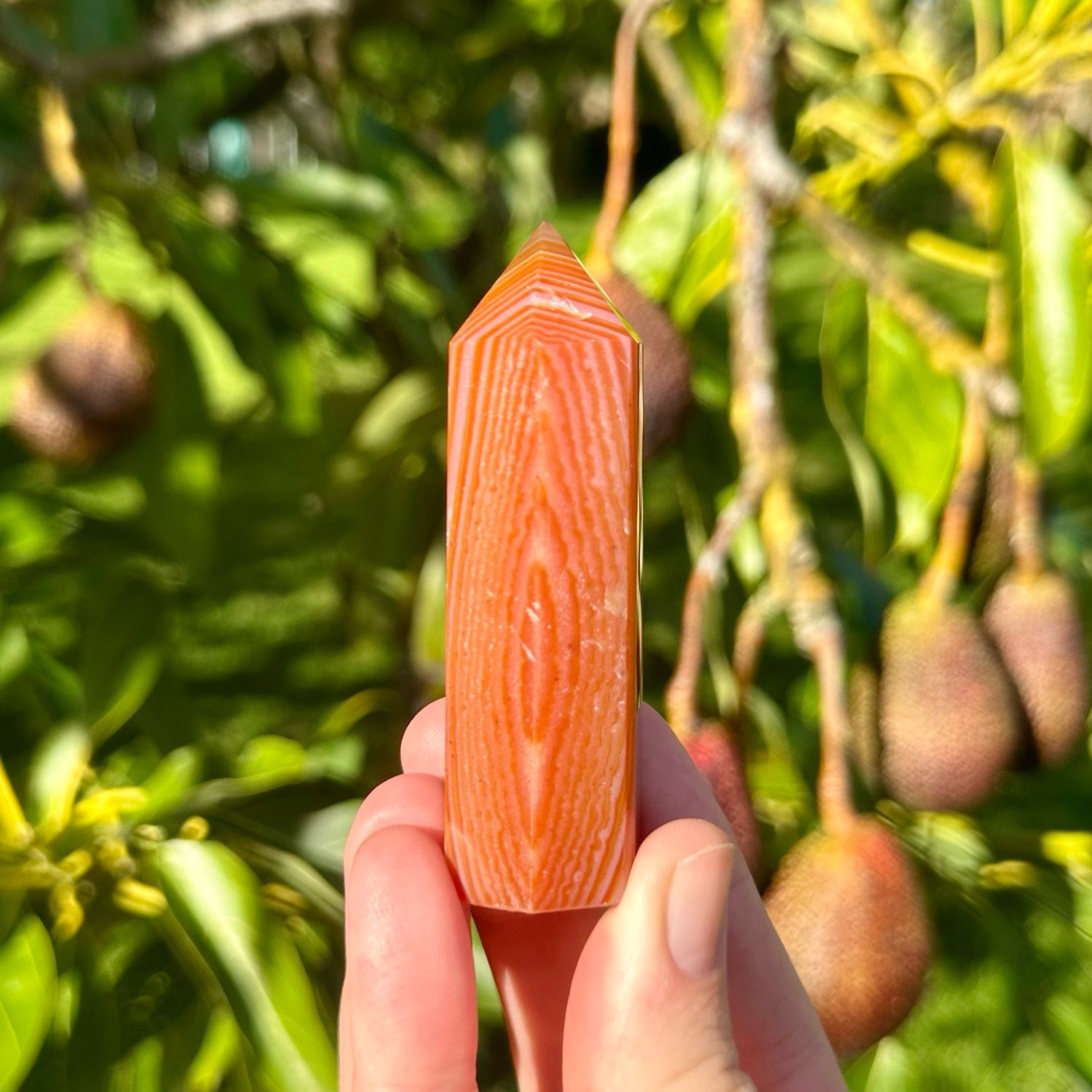 Carnelian Point