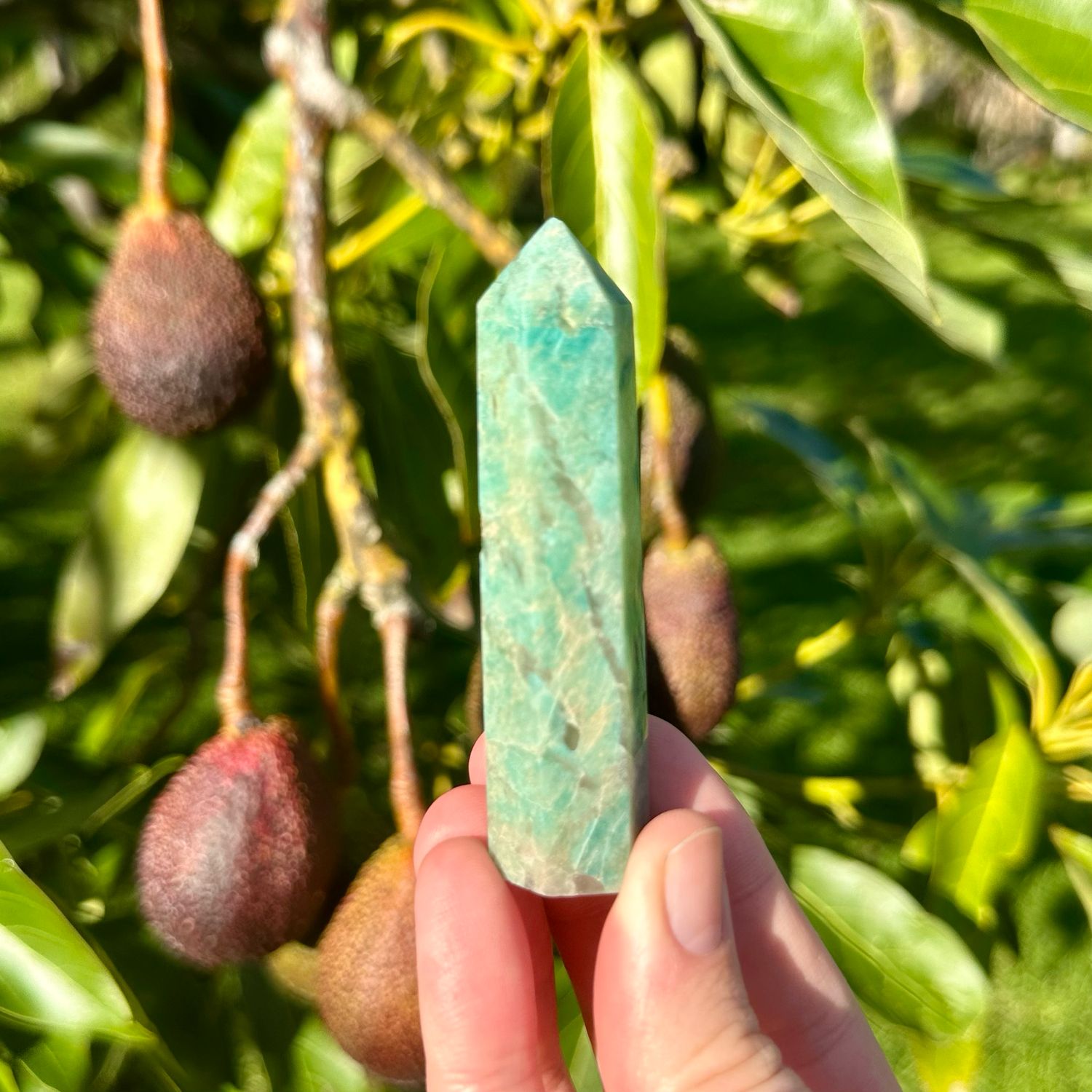 Amazonite And Smoky Quartz Point