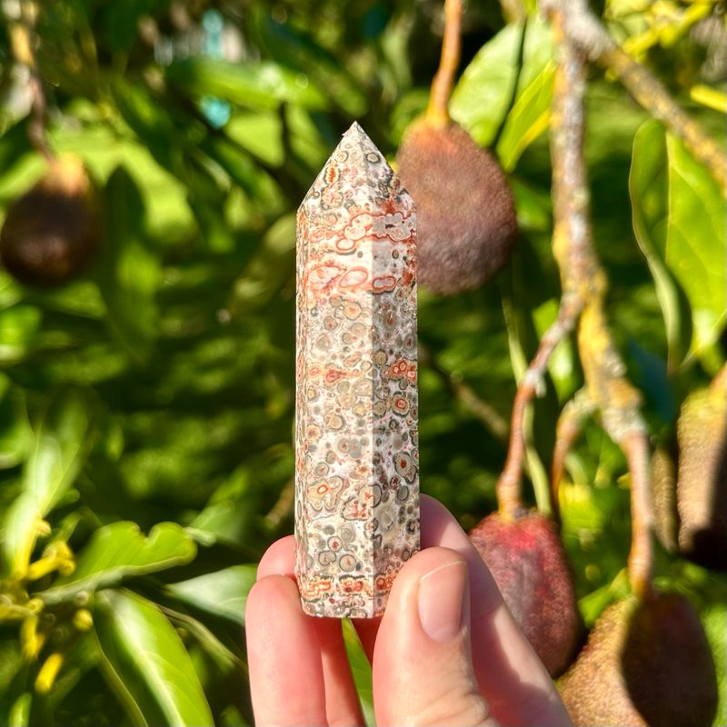 Leopard Skin Jasper Point