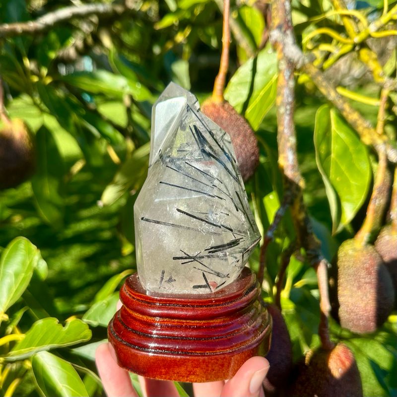 Black Tourmaline In Quartz Freeform With Stand