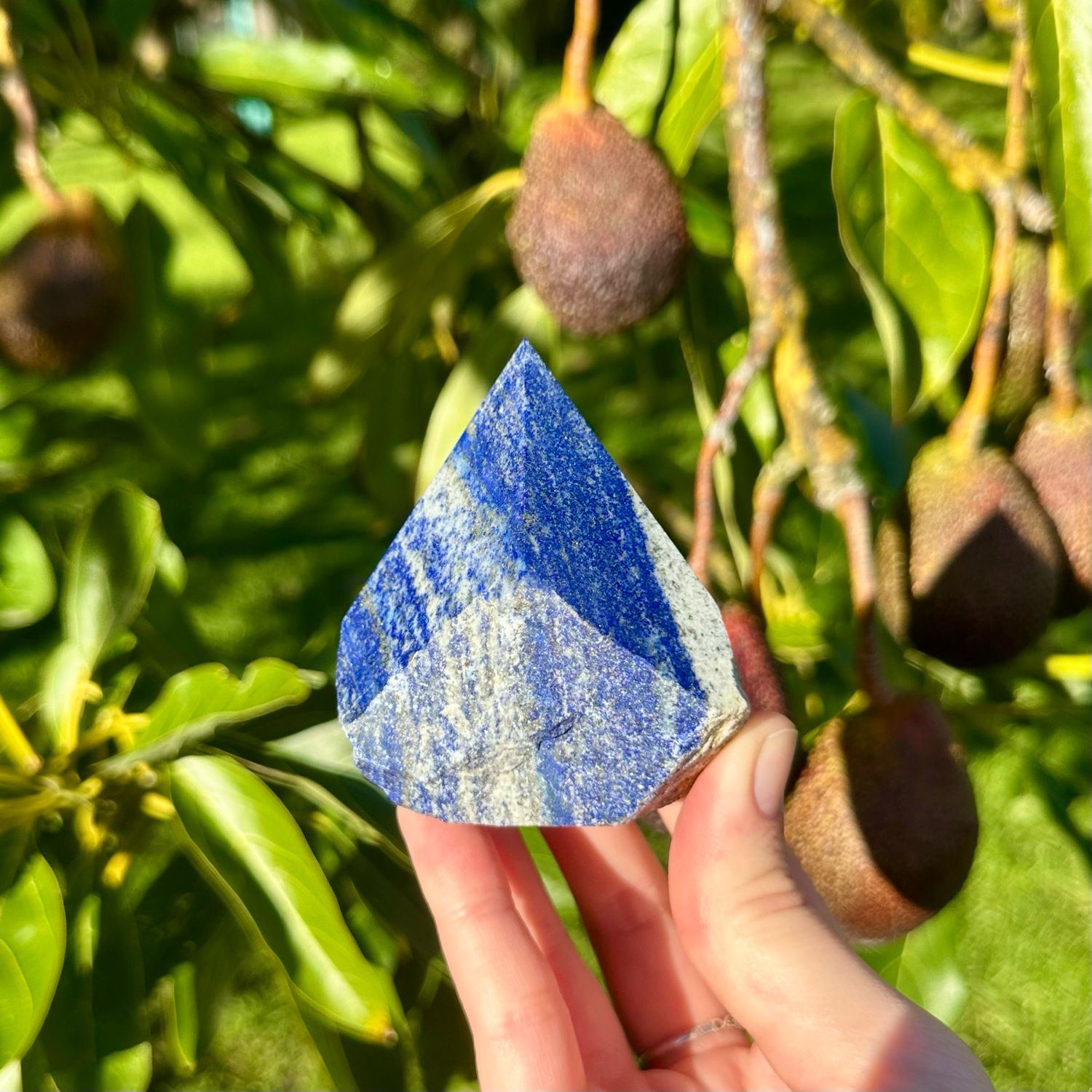 Lapis Lazuli Half Polished Point
