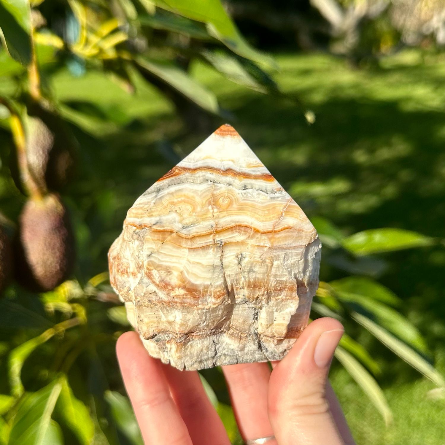 Brown Aragonite Half Polished Point