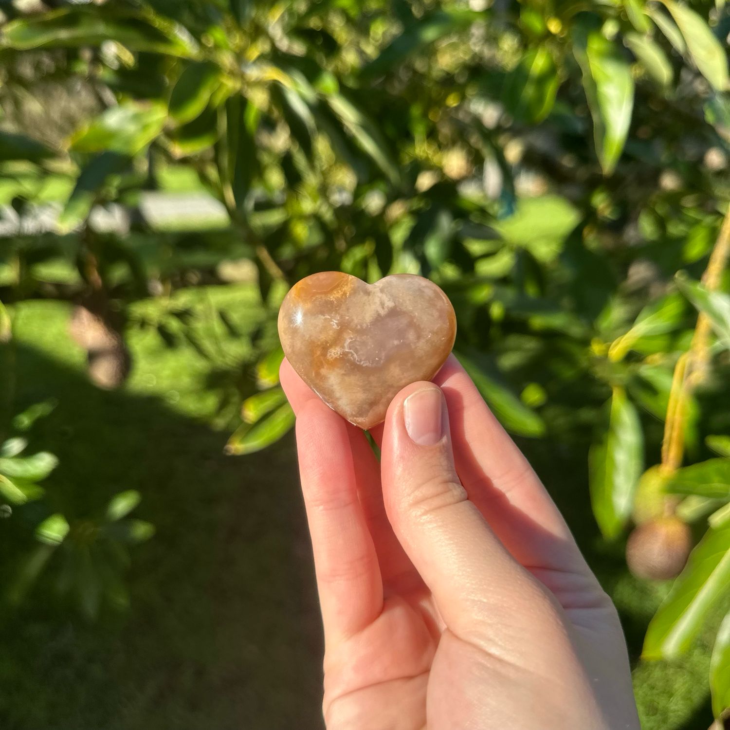 Flower Agate Heart