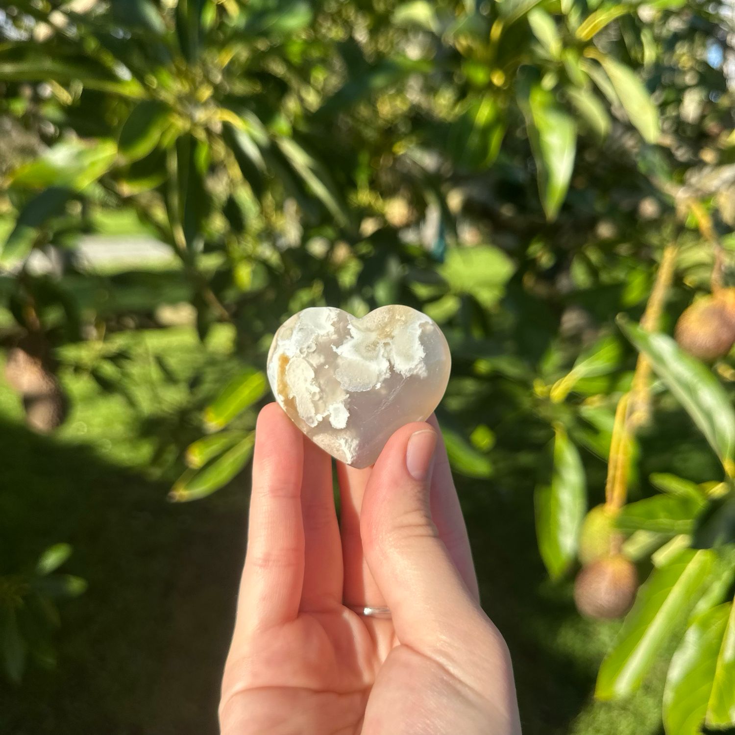 Flower Agate Heart