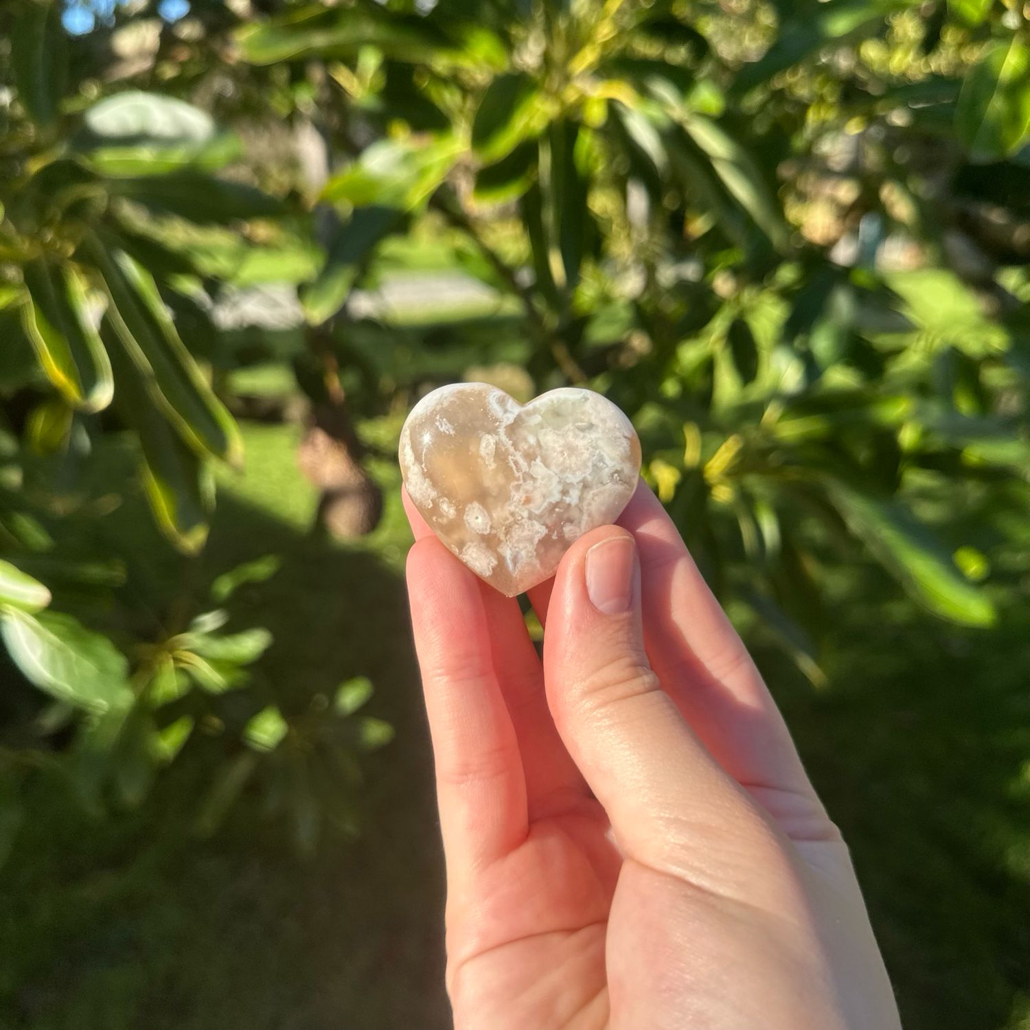 Flower Agate Heart