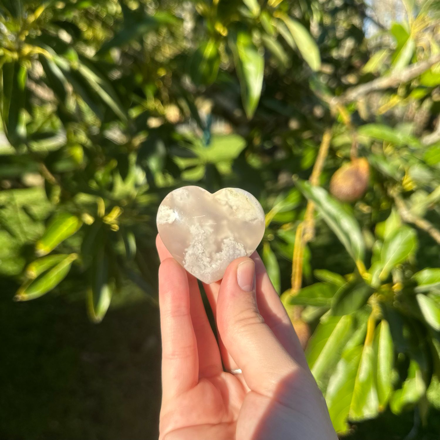 Flower Agate Heart