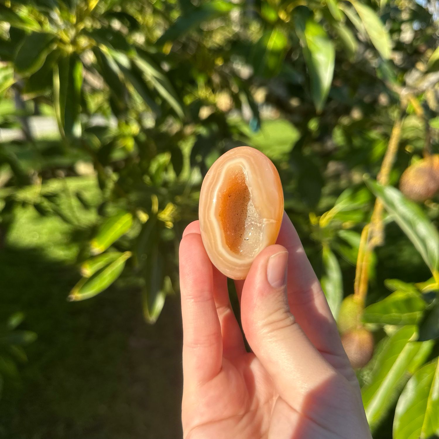 Carnelian Egg