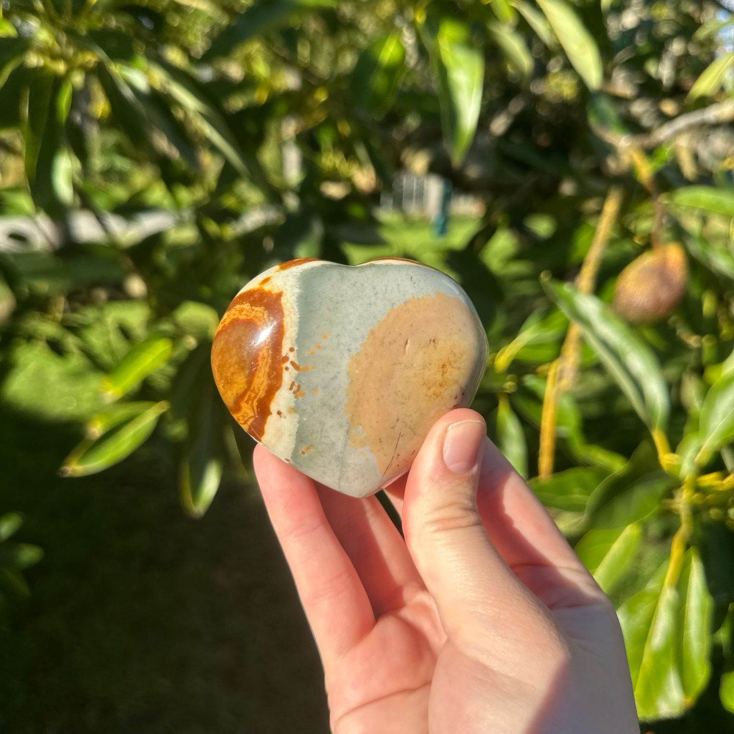 Polychrome Jasper Heart