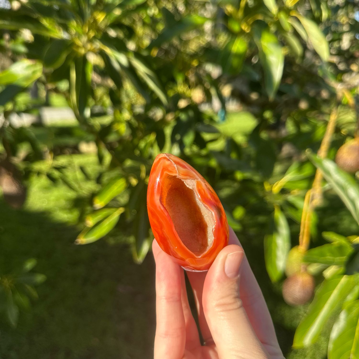 Carnelian Egg