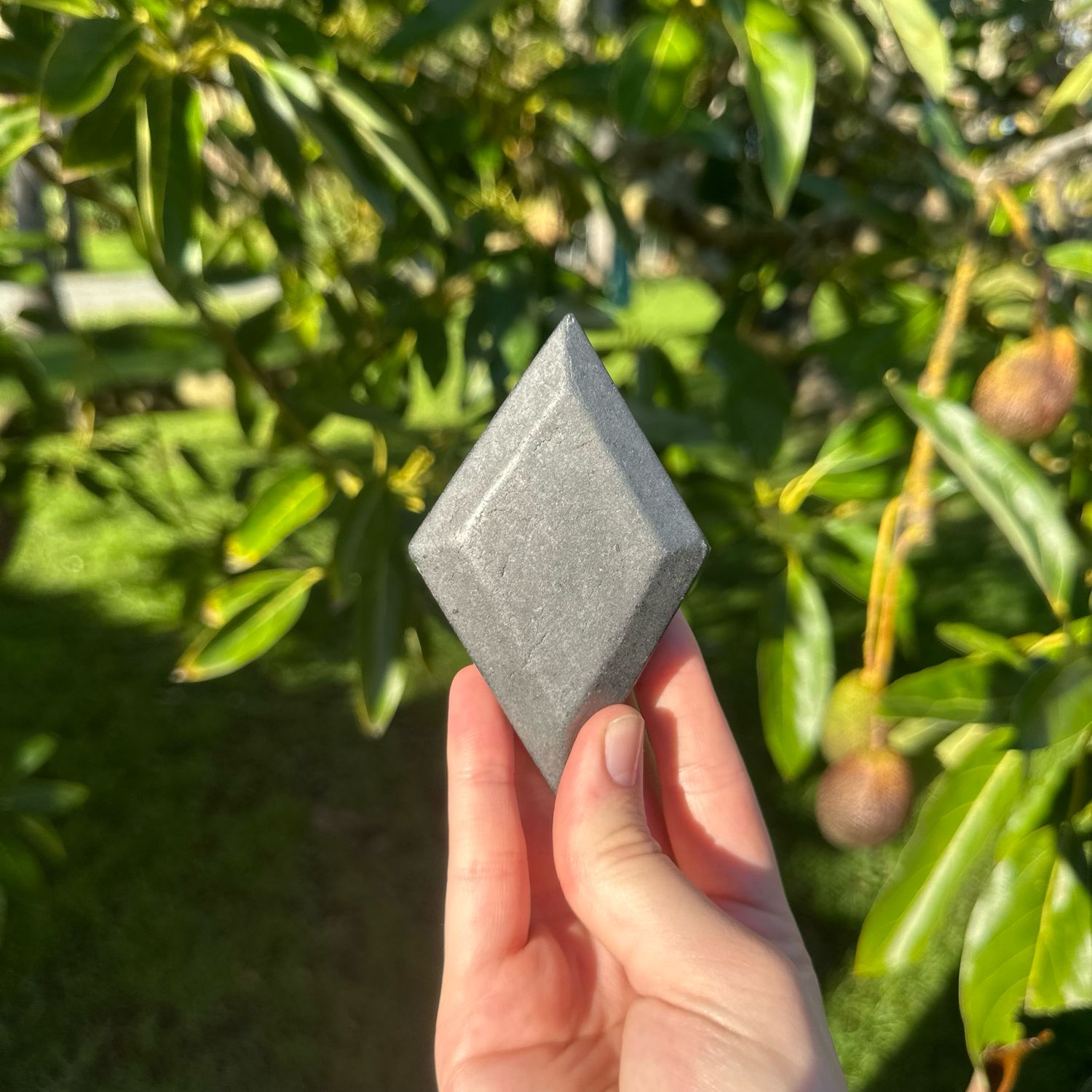 Shungite Diamond