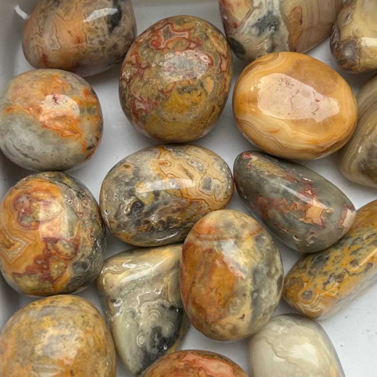 Crazy Lace Agate Tumbles