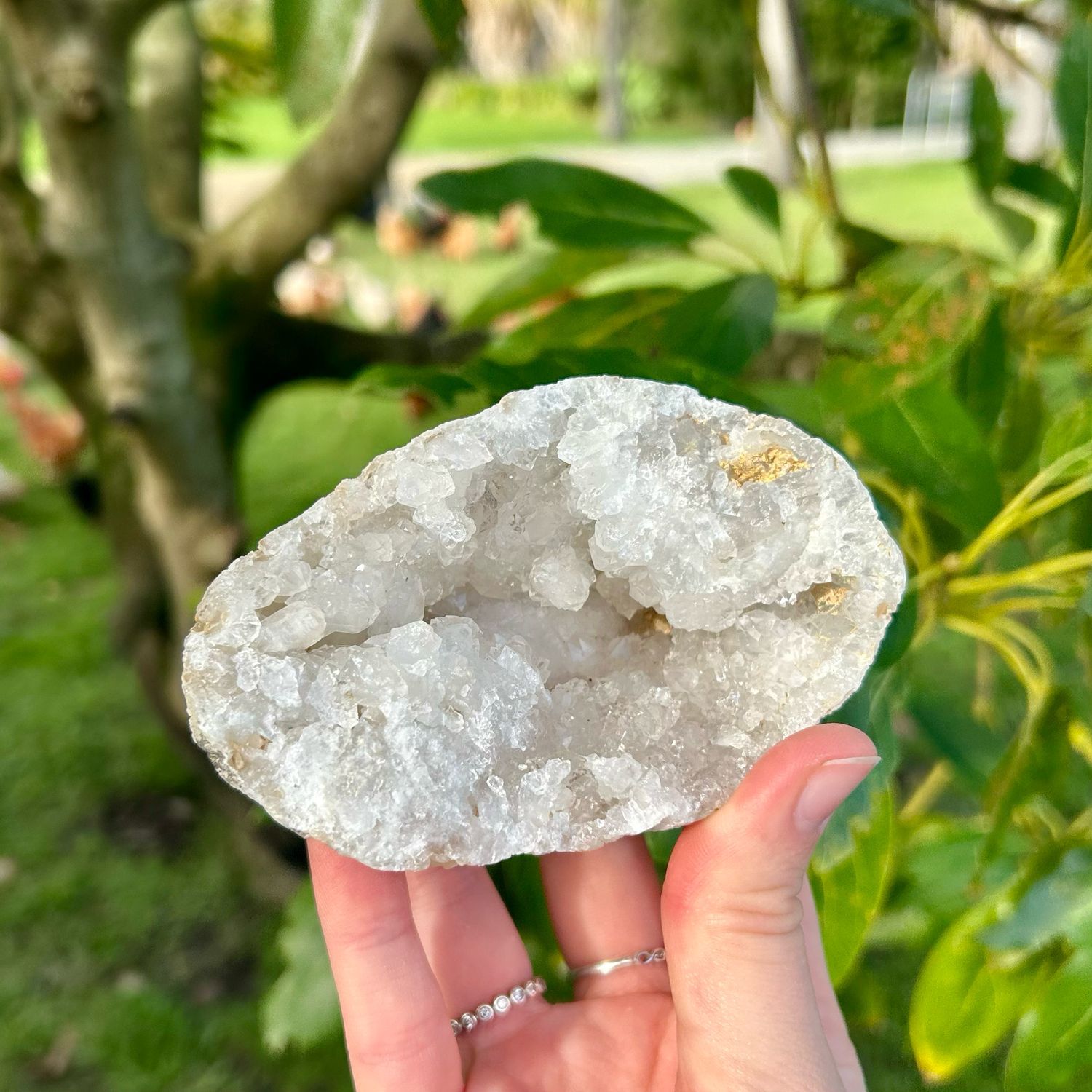 Moroccan Quartz Geode