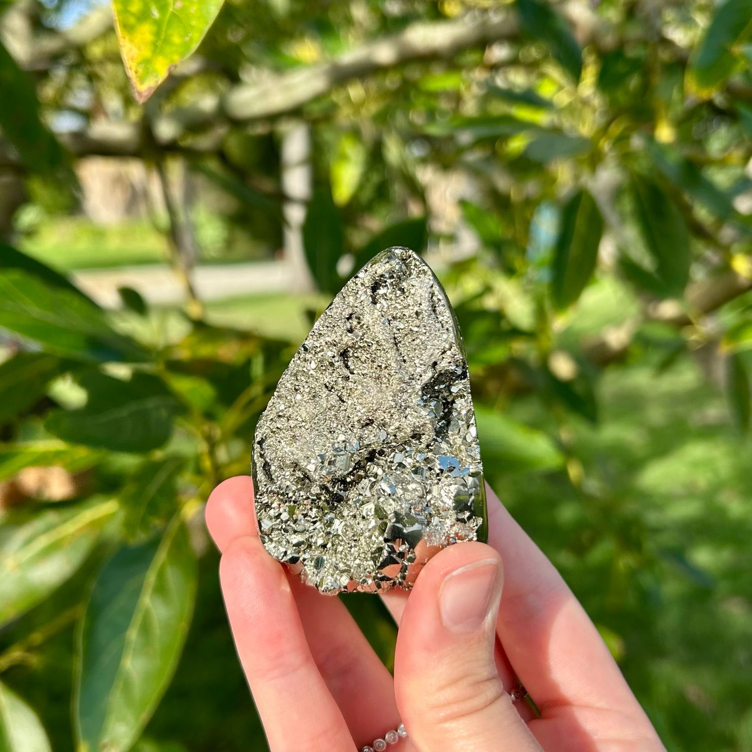 Pyrite Specimen