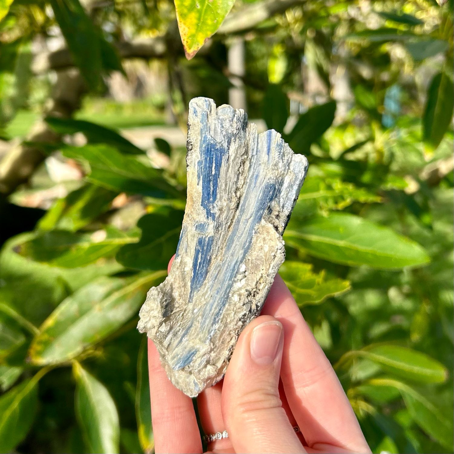Blue Kyanite Specimen