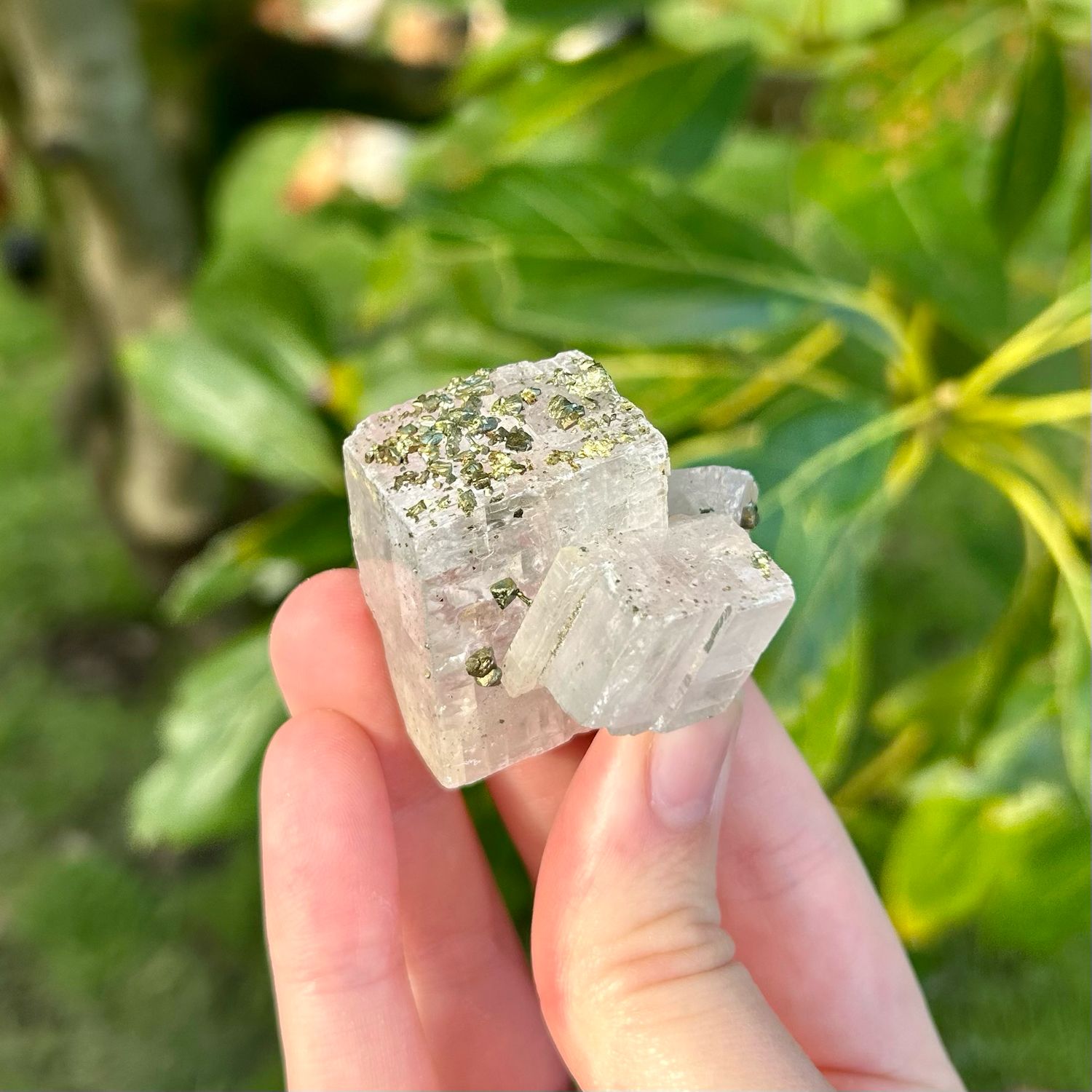Calcite With Pyrite Specimen