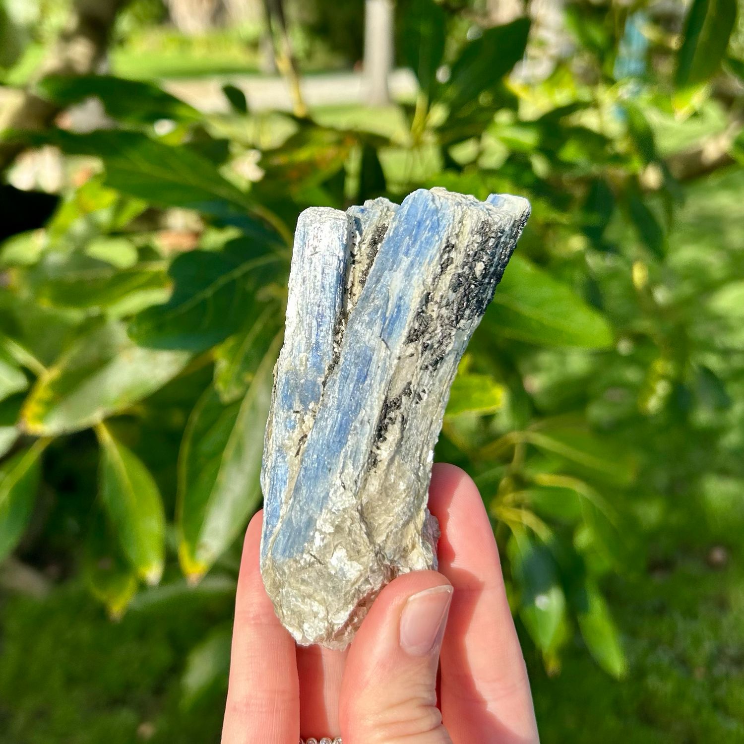 Blue Kyanite Specimen
