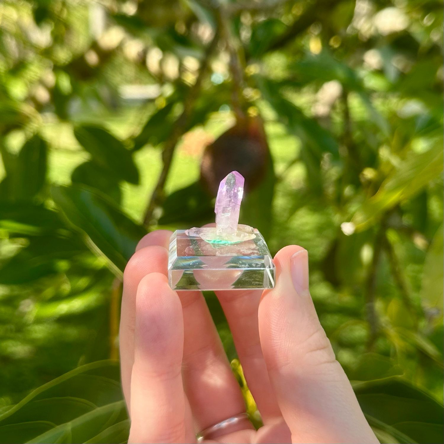 Cruz Amethyst Specimen On Glass Stand